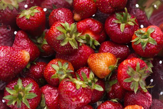 Fresh ripe  strawberry
