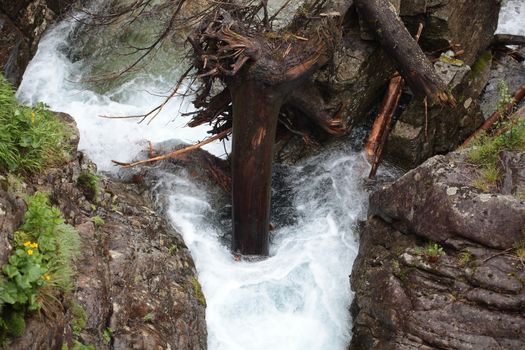 A creek in the Carpathian Mountains in Slovakia.