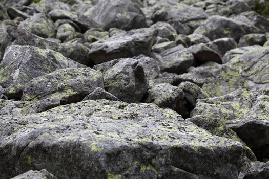 Rocks in the mountains