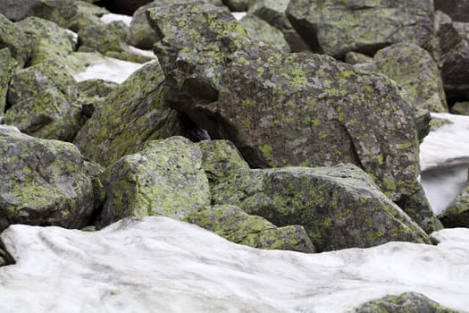 Rocks in the mountains