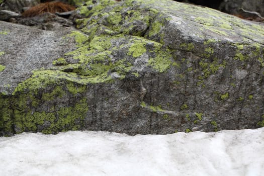 Rock in the mountains with snow.