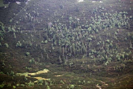 Forests in the High Tatra, in the Carpathian Mountains of Slovakia