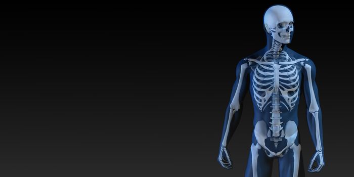 Human Bone Structure Diagram in Blue and Black