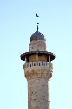 raven over a minaret in jerusalem old city