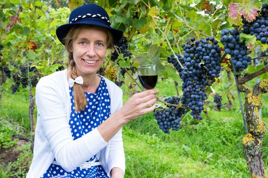Dutch woman toasting with glass of wine near bunches of blue grapes