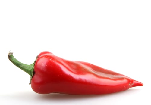 Red Pepper.