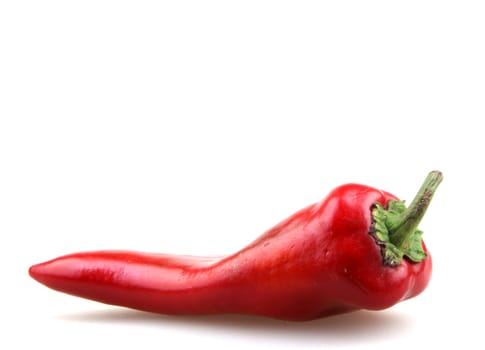 Red Pepper.