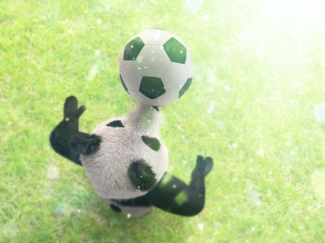 character circus bamboo bear giant panda standing spreading legs to sides chasing ball on his nose. professional football player on background of grass top view with bokeh effect