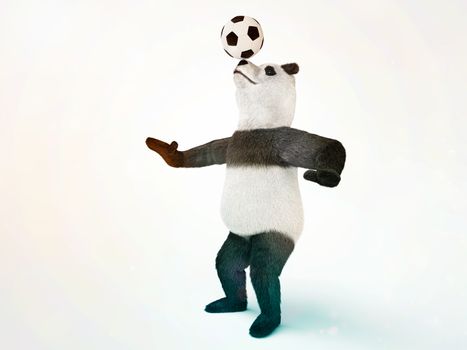character circus bamboo bear giant panda standing spreading legs to the sides chasing a ball on his nose. involuntary amazing animals