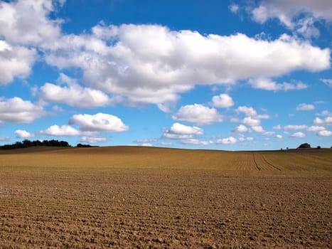 Green field and blue sky with clouds nature background