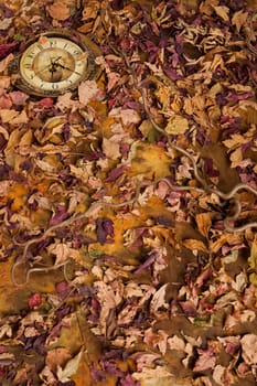 Autumn dry leaves and clock on a fabric studio background