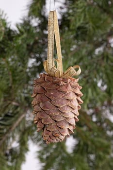 Golden strobile and fir branch