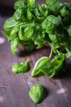Fresh organic basil leaves on a wooden table
