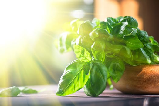 Fresh organic basil leaves on a wooden table
