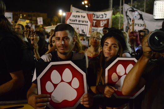 ISRAEL, Tel Aviv: An estimated 10,000 people marched in Tel Aviv for animal rights on October 3, 2015. 	In the largest-ever protest in Israel and the third annual protest under the name The Animal Rights March various struggles concerning animal protection united: wild life, animal testing, fur, street cats and dogs, and farm animals. 