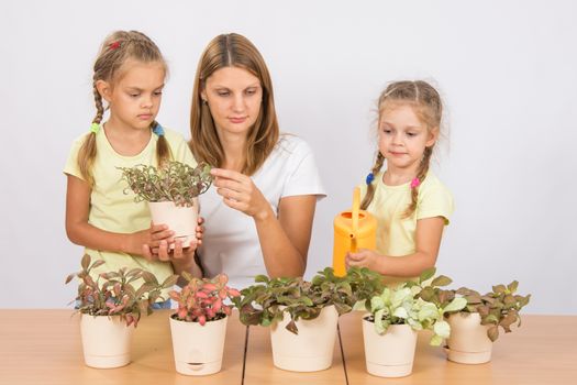 Mother and two daughters, four and six years of caring and watering potted plants