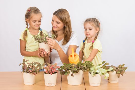 Mother and two daughters, four and six years of caring and watering potted plants