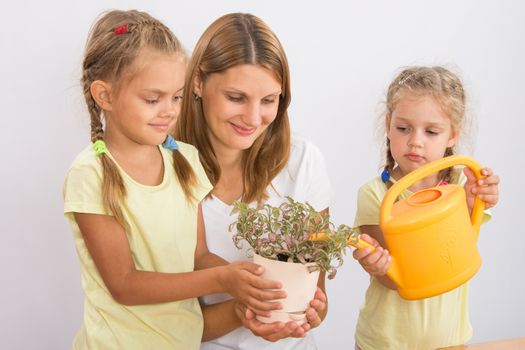 Mother and two daughters, four and six years of caring and watering potted plants