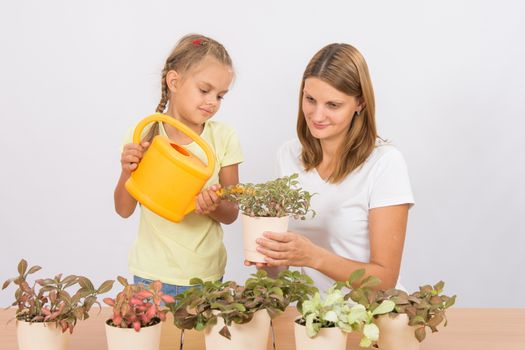 Mother and daughter six years of caring and watering potted plants