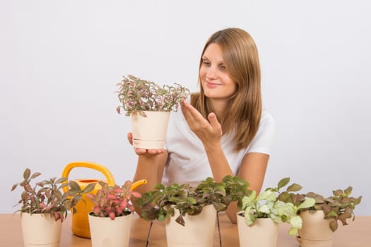 Young girl Europeans care and watering potted plants Fitton