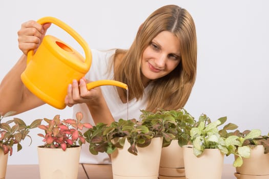 Young girl Europeans care and watering potted plants Fitton