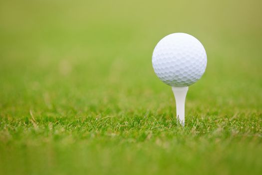 Golf ball on a green lawn. Close-up photo