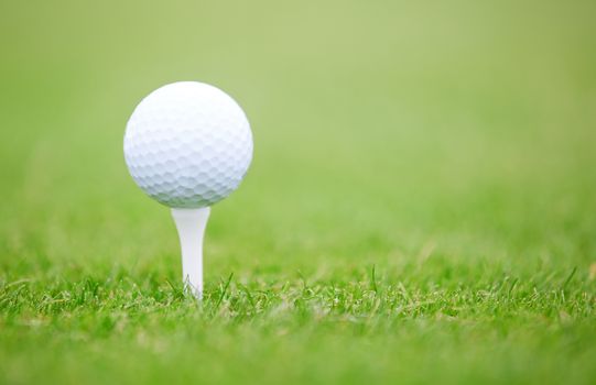 Golf ball on a green lawn. Close-up photo