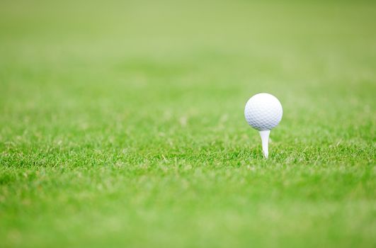 Golf ball on a green lawn. Close-up photo