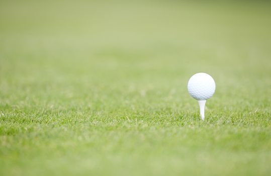 Golf ball on a green lawn. Close-up photo