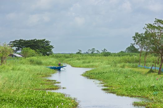 Rural landscape with canals between rice fields and fish farms at the Ayeyarwaddy Region in Myanmar. 