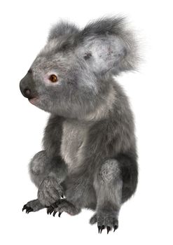 3D digital render of a cute koala sitting isolated on white background