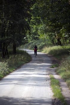 lady riding a bike through killarney woods on a hazy summer day