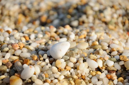 close up photo of colored sea pebbles 