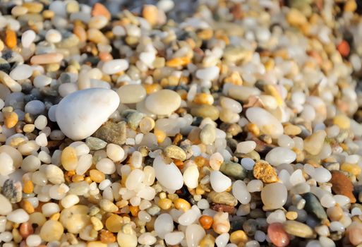 close up photo of colored sea pebbles 