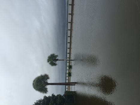 UNITED-STATES, Charleston : Heavy rains dropped nearly 17 inches on the state capital of Charleston in a 17 hour span when catastrophic floods ravaged much of South Carolina on October 4, 2015. At least nine people died in South Carolina as a result of the flooding and one person has died in neighboring North Carolina. The storms also left some 30,000 residents without power and shut down many major roads. Governor Nikki Haley called the rains the worst in 1,000 years. 