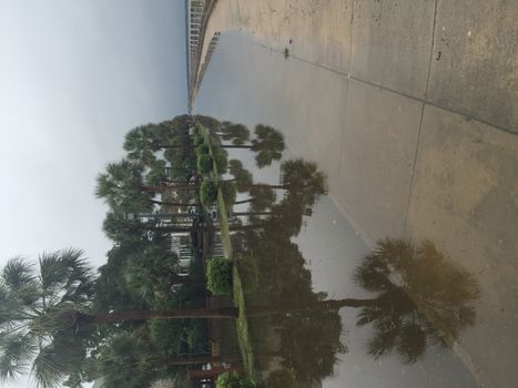 UNITED-STATES, Charleston : A rain water puddle overflows a road when catastrophic floods ravaged much of South Carolina on October 4, 2015. Heavy rains dropped nearly 17 inches on the state capital of Charleston in a 17 hour span. At least nine people died in South Carolina as a result of the flooding and one person has died in neighboring North Carolina. The storms also left some 30,000 residents without power and shut down many major roads. Governor Nikki Haley called the rains the worst in 1,000 years. 