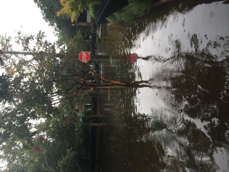 UNITED-STATES, Charleston : Heavy rains dropped nearly 17 inches on the state capital of Charleston in a 17 hour span when catastrophic floods ravaged much of South Carolina on October 4, 2015. At least nine people died in South Carolina as a result of the flooding and one person has died in neighboring North Carolina. The storms also left some 30,000 residents without power and shut down many major roads. Governor Nikki Haley called the rains the worst in 1,000 years. 