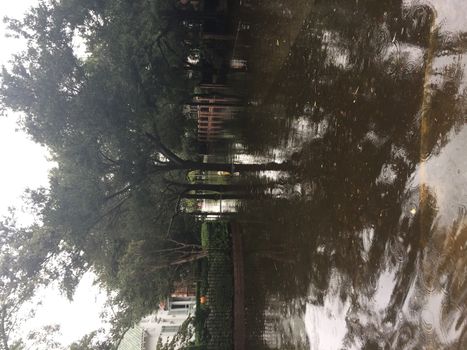 UNITED-STATES, Charleston : Heavy rains dropped nearly 17 inches on the state capital of Charleston in a 17 hour span when catastrophic floods ravaged much of South Carolina on October 4, 2015. At least nine people died in South Carolina as a result of the flooding and one person has died in neighboring North Carolina. The storms also left some 30,000 residents without power and shut down many major roads. Governor Nikki Haley called the rains the worst in 1,000 years. 
