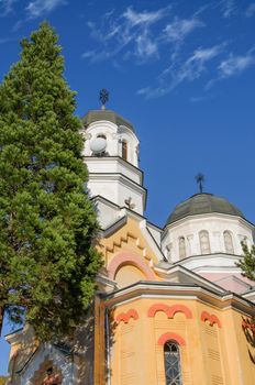 small ortodox church with pine in foreground