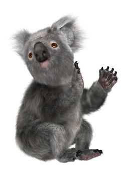 3D digital render of a cute koala isolated on white background