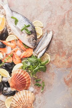 Variety of raw seafood on crushed ice and fishing net, top view.