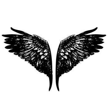 doodle hand drawn of of angel wings