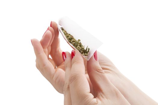 Hands isolated on white background rolling a cannabis joint. Smoking marijuana addiction. Feminine drug abuse. 