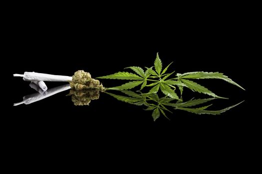 Marijuana background. Cannabis cigarette joint, bud and hemp leaves isolated on black background. Addictive drug or alternative medicine. 