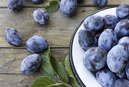 Freshly harvested plums in a metal plate on a wooden background