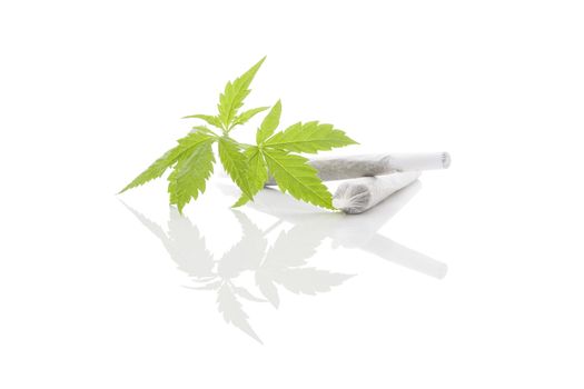 Marijuana cigarette joint, bud and foliage isolated on white background. Medical marijuana, alternative medicine. 