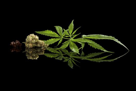 Cannabis leaves, bud and hashish isolated on black background. Alternative medicine.
