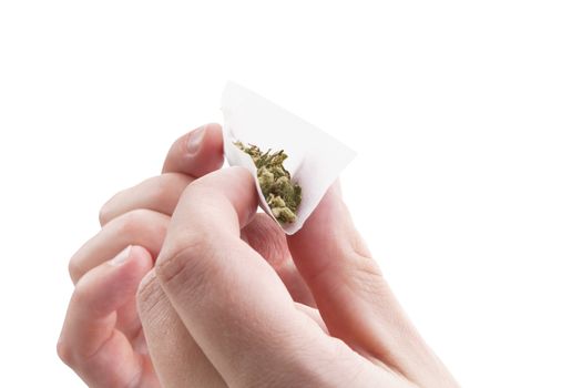 Hands isolated on white background rolling a cannabis joint. Smoking marijuana addiction. 