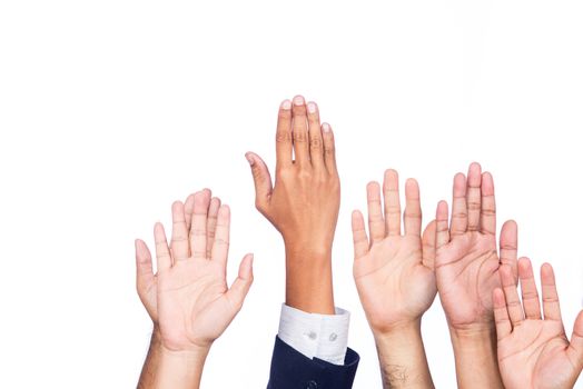 Diversity of Business Hands Raised