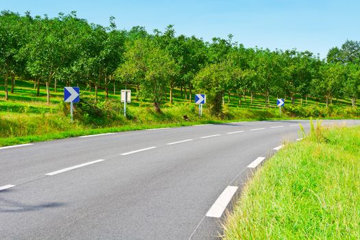 Winding Paved Road near Orchard in France